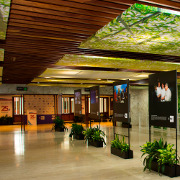 ’25 anos de Cúpulas Ibero-americanas’, um percurso pela História