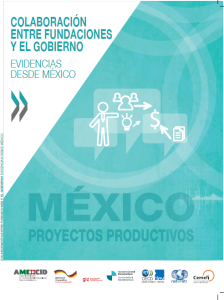 Colaboración entre fundaciones y el gobierno: Evidencias desde México. Centro de Desarrollo de la OCDE, París.