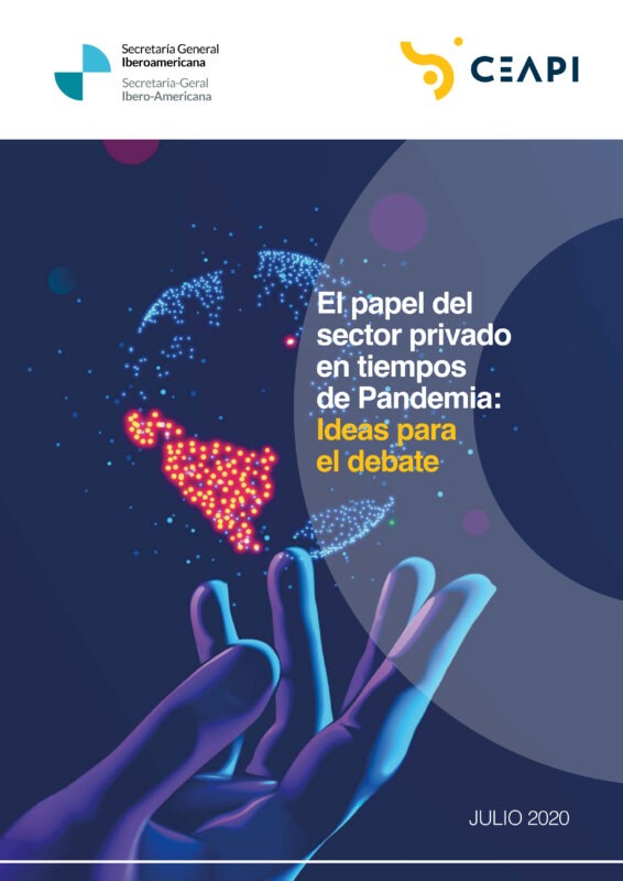 El papel del sector privado en tiempos de pandemia: Ideas para el debate
