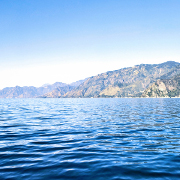 Las redes iberoamericanas refuerzan su compromiso con la Agenda Medioambiental Iberoamericana.