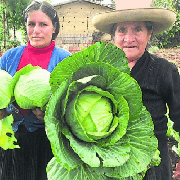 Ibero-América trabalha para fortalecer a Cooperação Sul-Sul