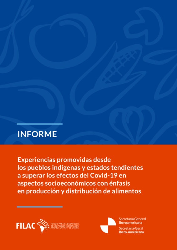 Experiencias promovidas desde los Pueblos Indígenas y estados tendientes a superar los efectos del COVID19 en aspectos socioeconómicos con énfasis en producción y distribución de alimentos