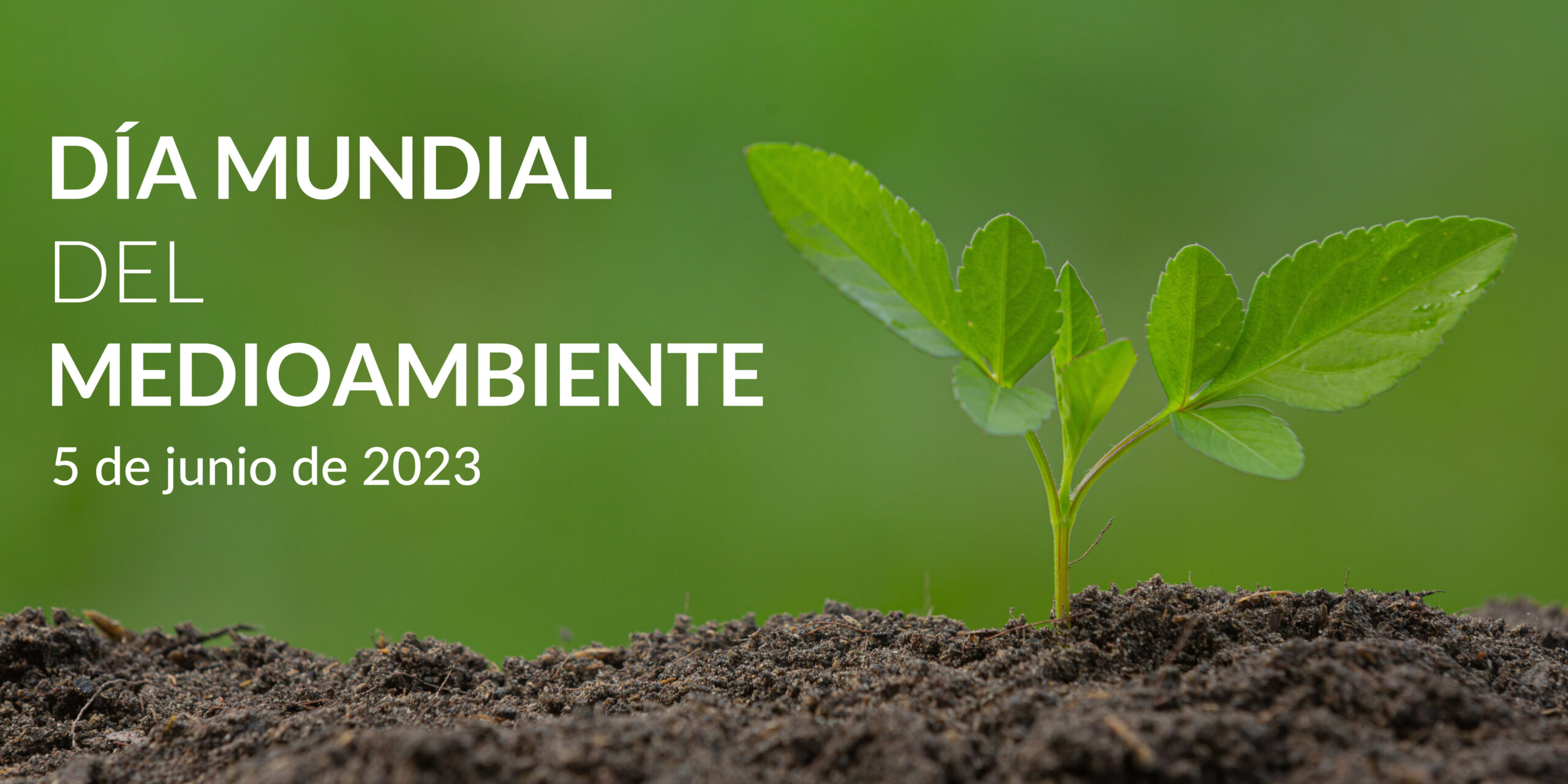 La SEGIB reafirma su compromiso por una Iberoamérica “más verde, justa y sostenible” en el Día Mundial del Medioambiente