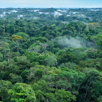 Iberoamérica, comprometida con el medioambiente y el desarrollo sostenible