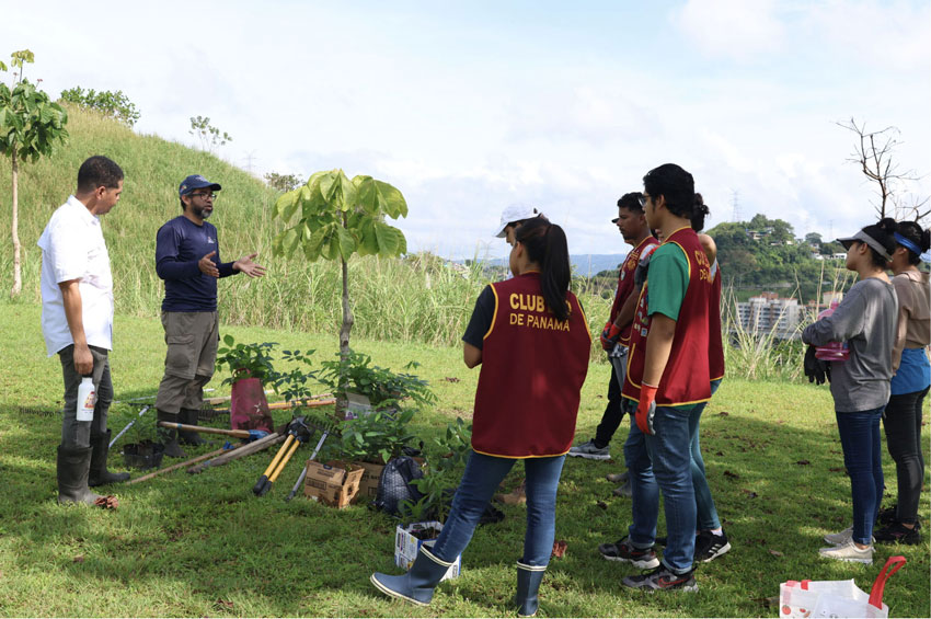 A SEGIB lança newsletter com novas histórias sobre cooperação Sul-Sul e triangular