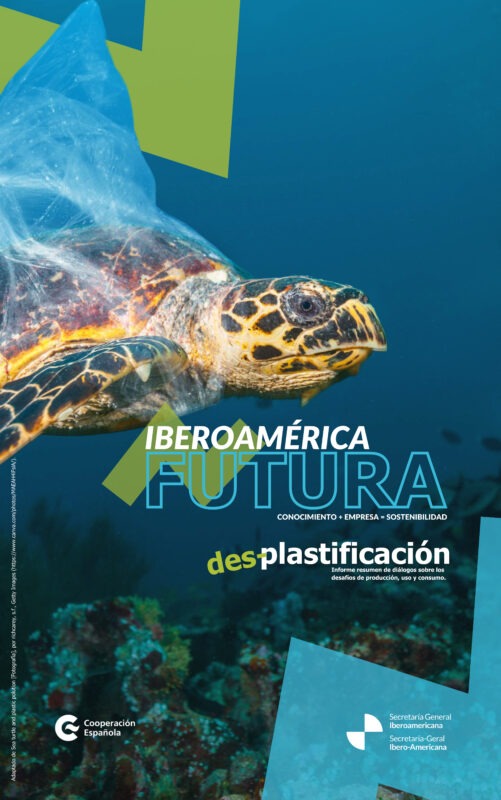 Informe resumen Mesa des-plastificación; Iberoamérica Futura (ES)