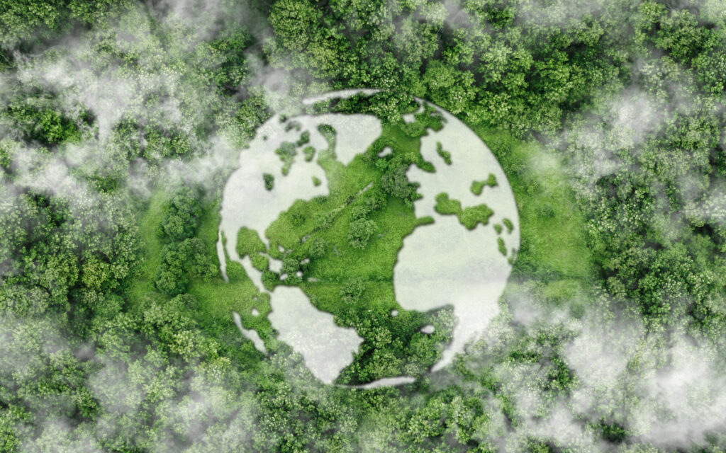Un mapa del planeta Tierra sobre un bosque húmedo.