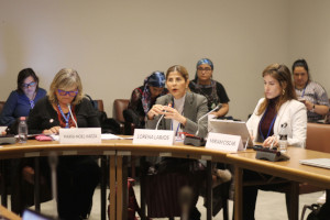 ONU Mujeres, SEGIB y la OCDE, por una transición digital inclusiva en Iberoamérica