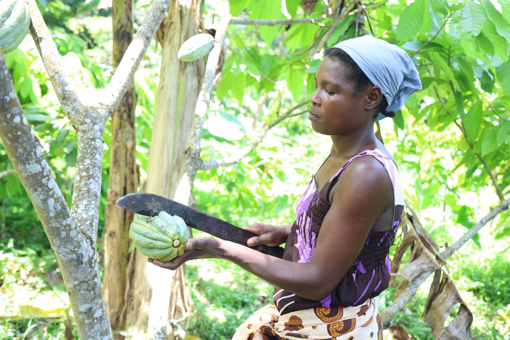II Convocatoria para Proyectos e Iniciativas de Cooperación Triangular entre Iberoamérica y los Países Africanos de Lengua Oficial Portuguesa (PALOP)