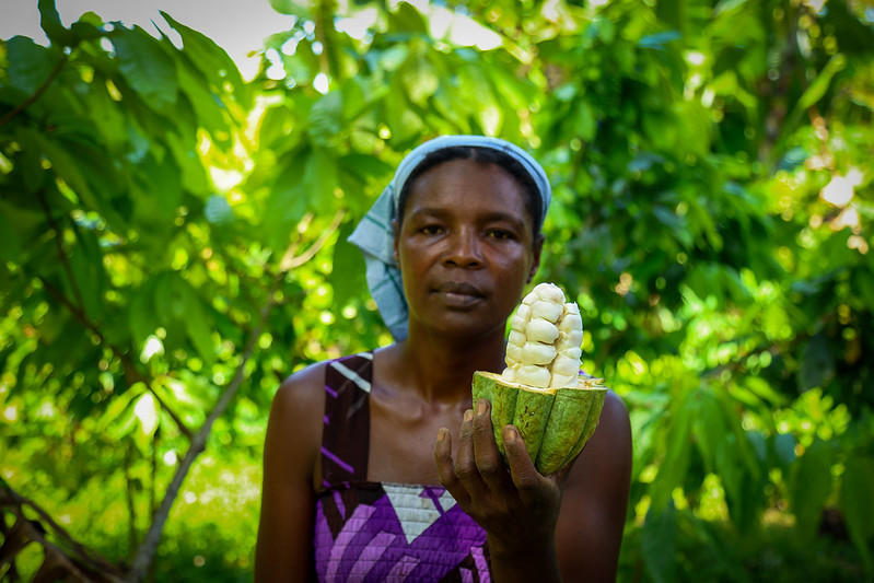 Cacao para un futuro sostenible: la alianza que conecta Portugal, Santo Tomé y Colombia