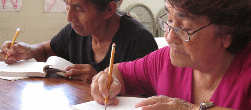 Plan Iberoamericano de Alfabetización y Aprendizaje a lo largo de la Vida
