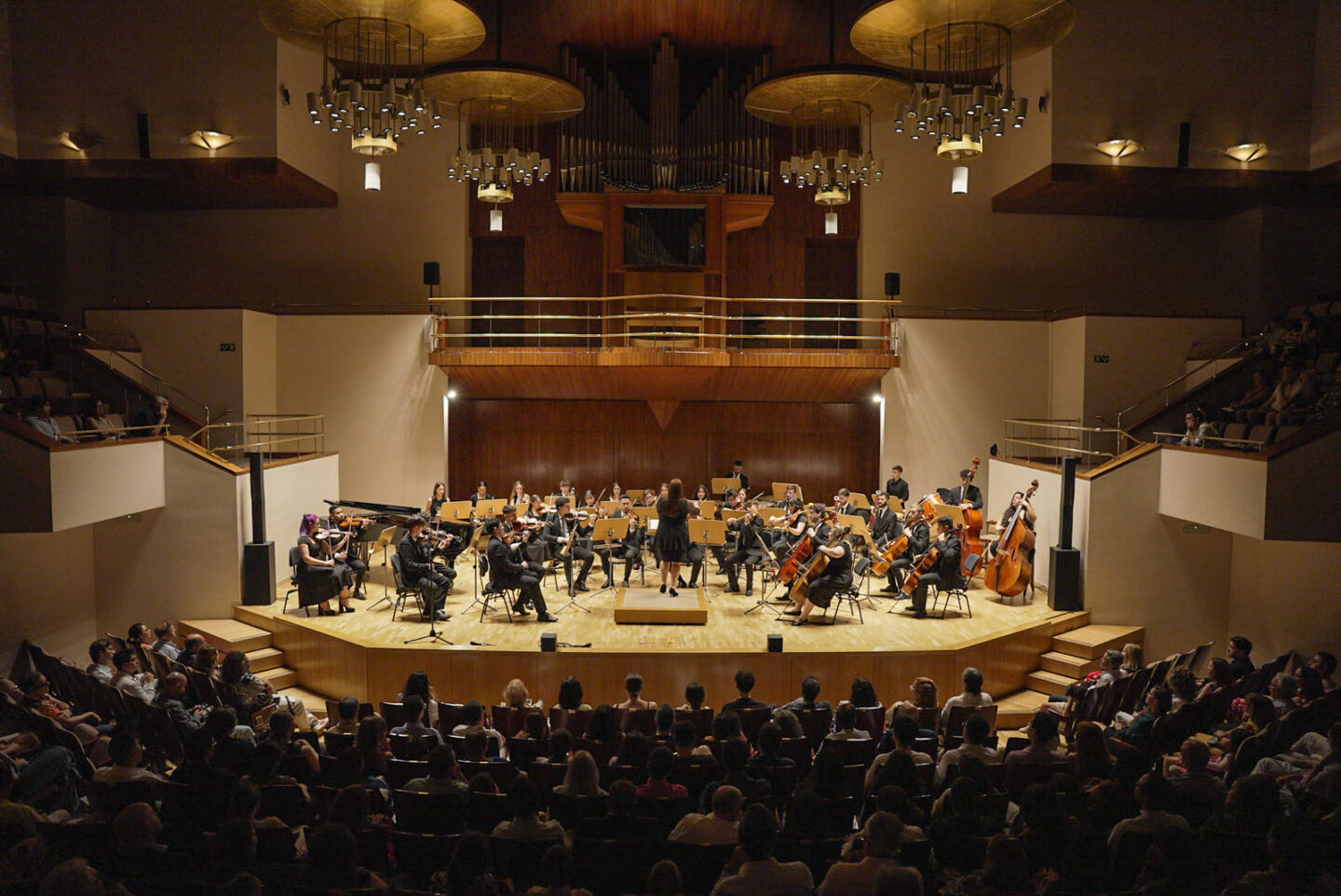 Una orquesta ofrece un concierto en un teatro