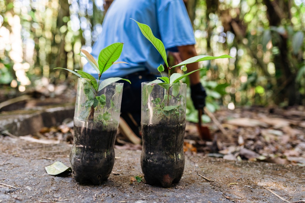 La agenda ambiental Iberoamericana, en Somos Iberoamérica